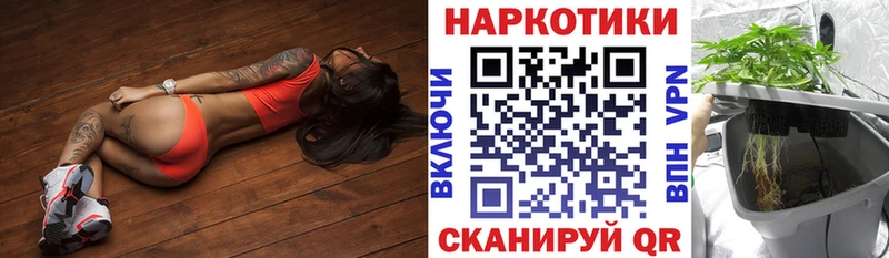 Названия наркотиков Богородск Alpha-PVP  Псилоцибиновые грибы  МЕФ  Гашиш  COCAIN  Марихуана 