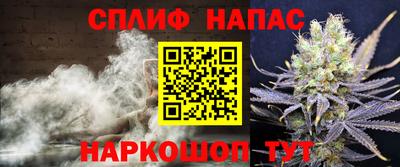 трава Бийск