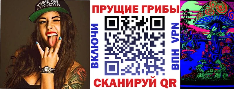 купить наркотики сайты  Богородск  Псилоцибиновые грибы GOLDEN TEACHER 